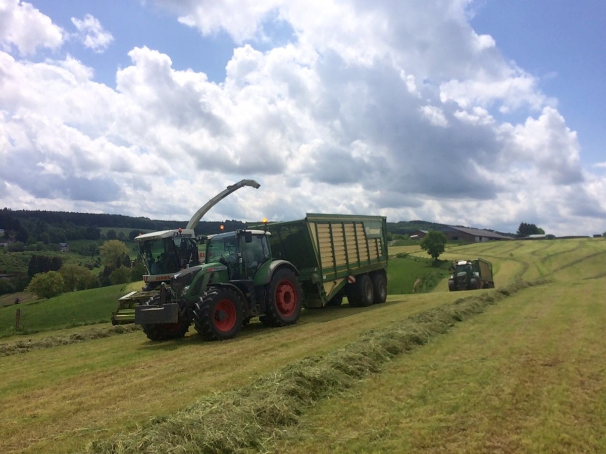 Futterernte 24.jpg