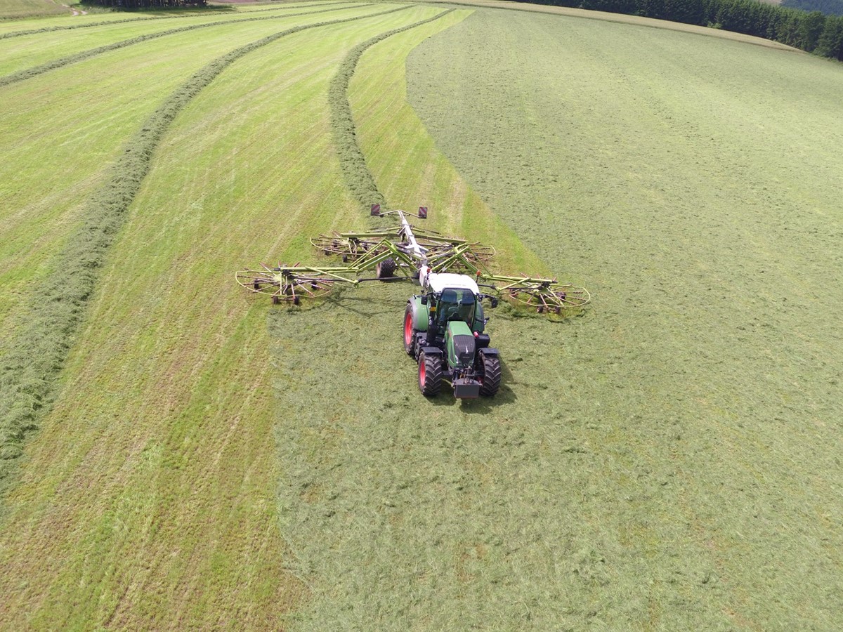 Futterernte 6.jpg