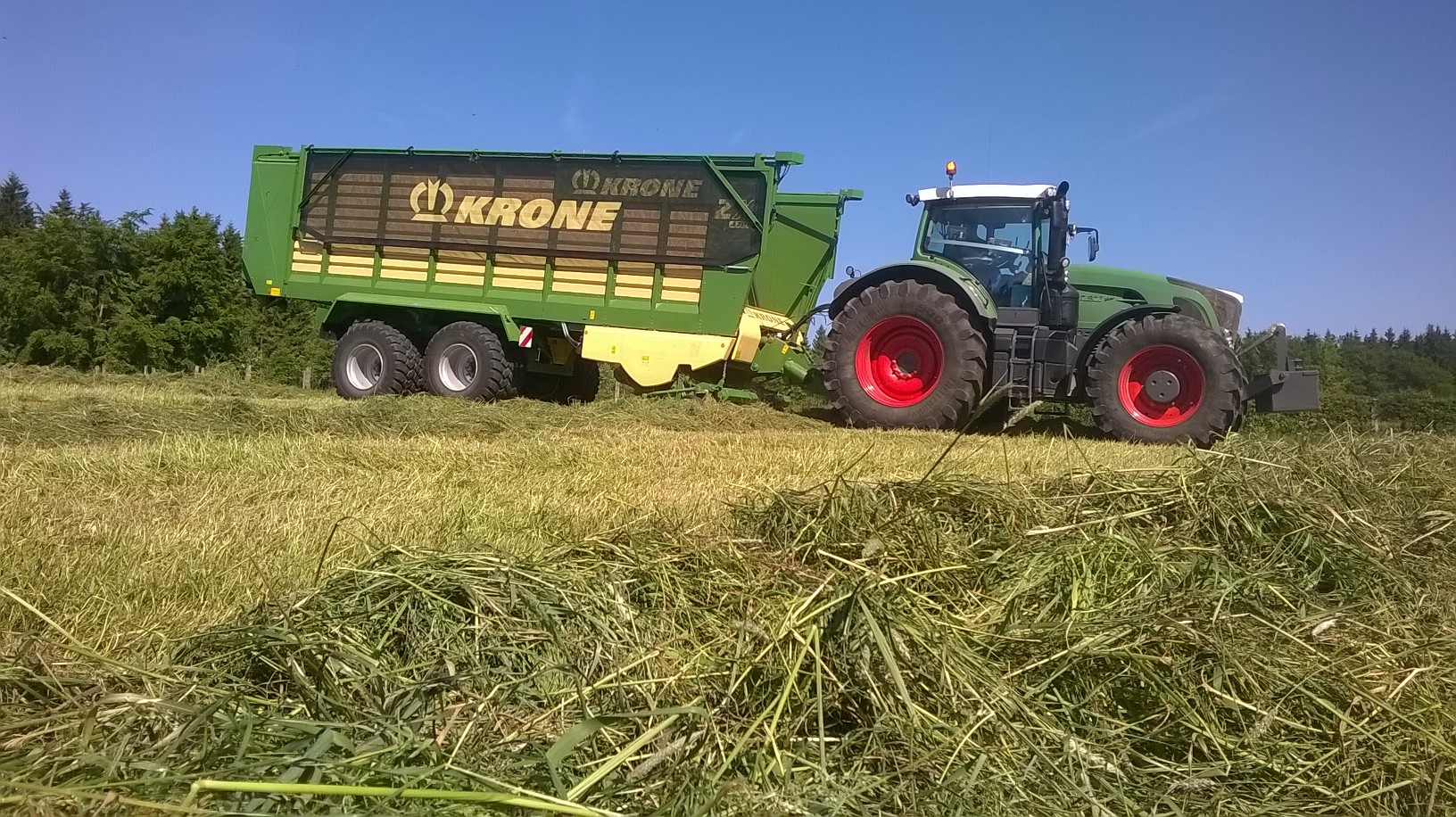 Grass harvest 