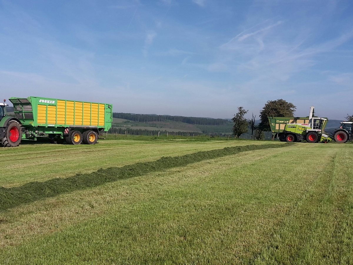 Futterernte 23.jpg
