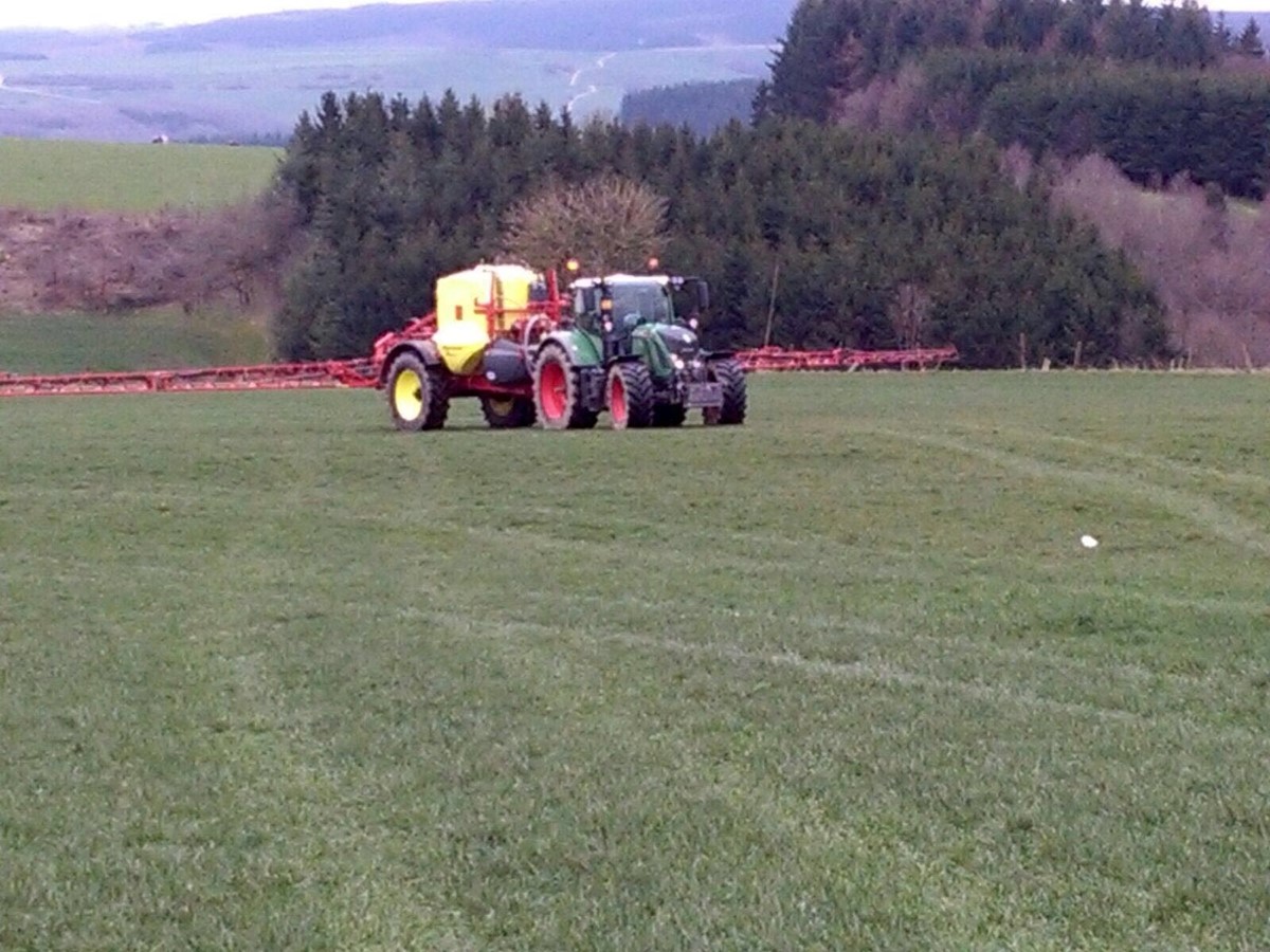 Flüssigdüngung (10).jpg