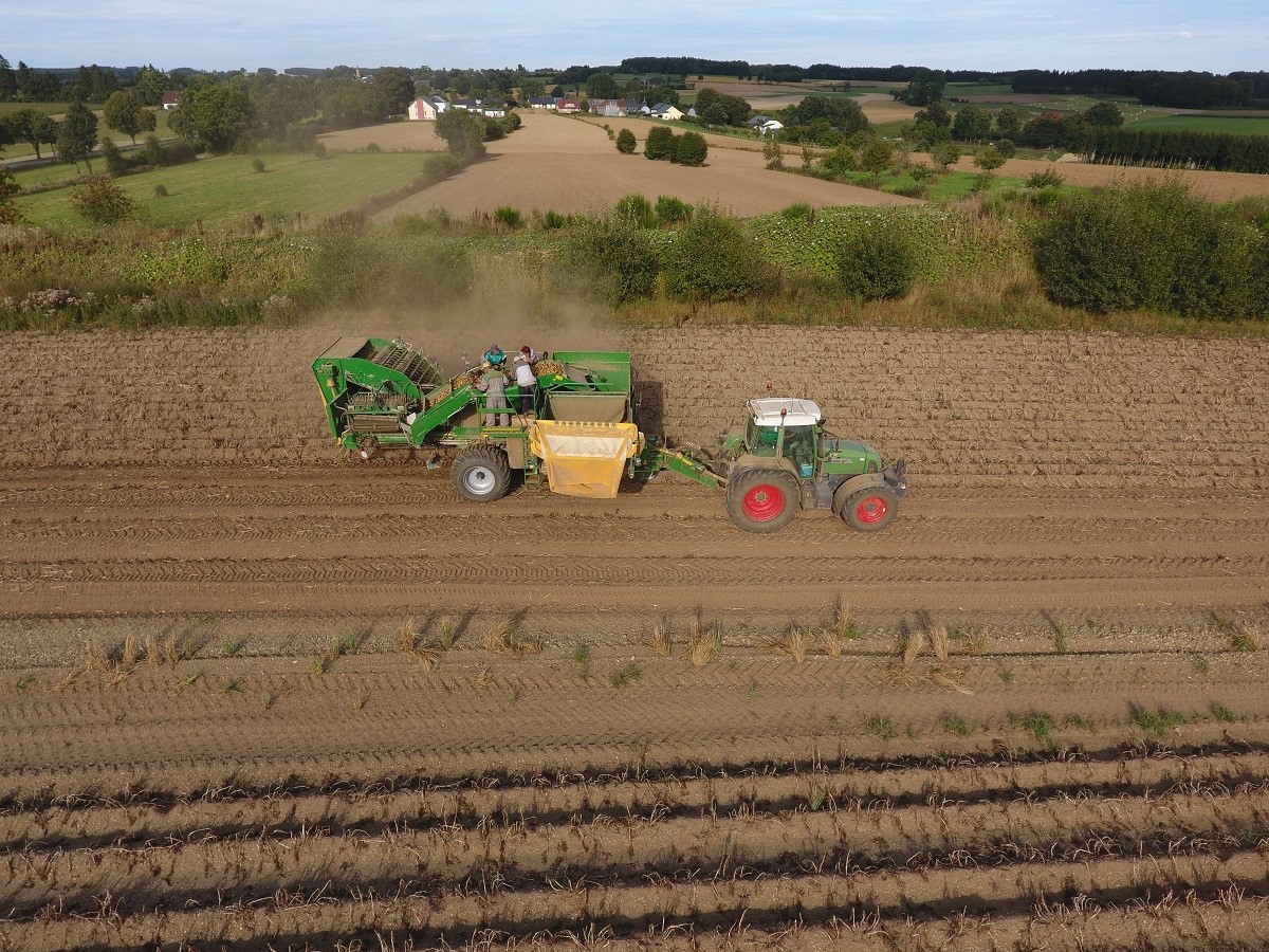 Kartoffelernte2.jpg