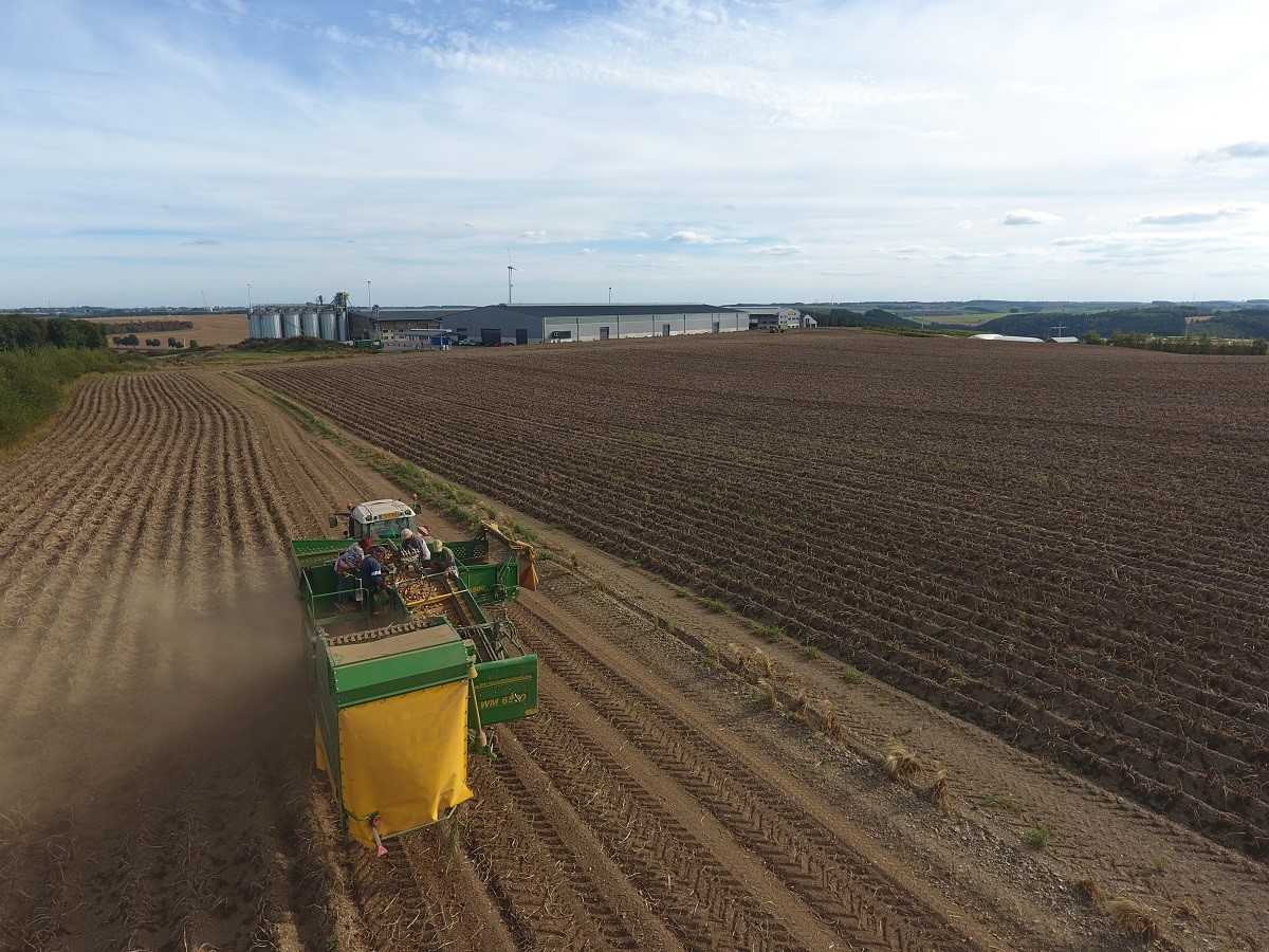 Kartoffelernte3.jpg