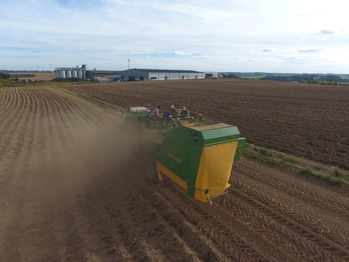 Kartoffelernte4.jpg