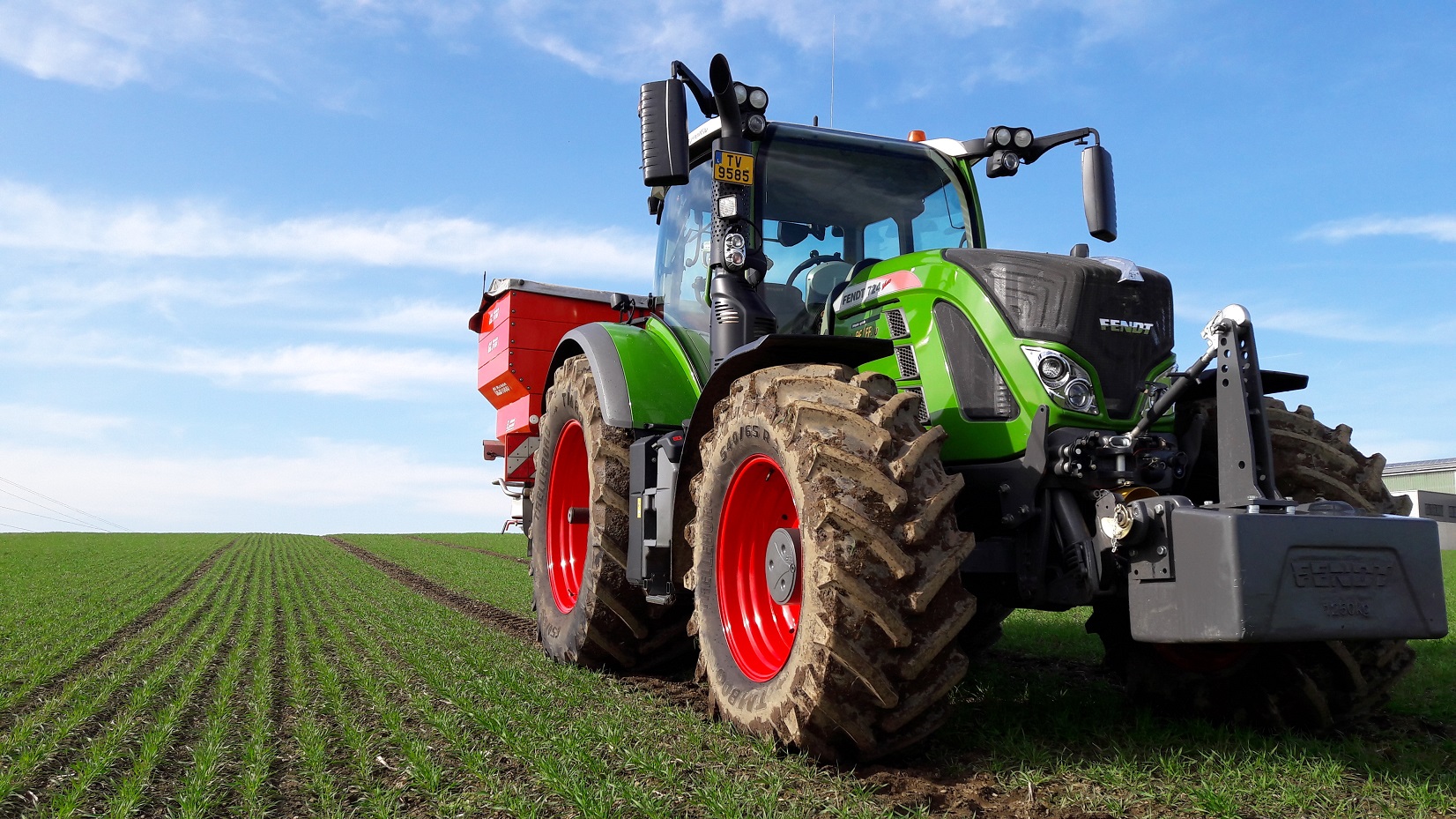 Mineralische Düngung