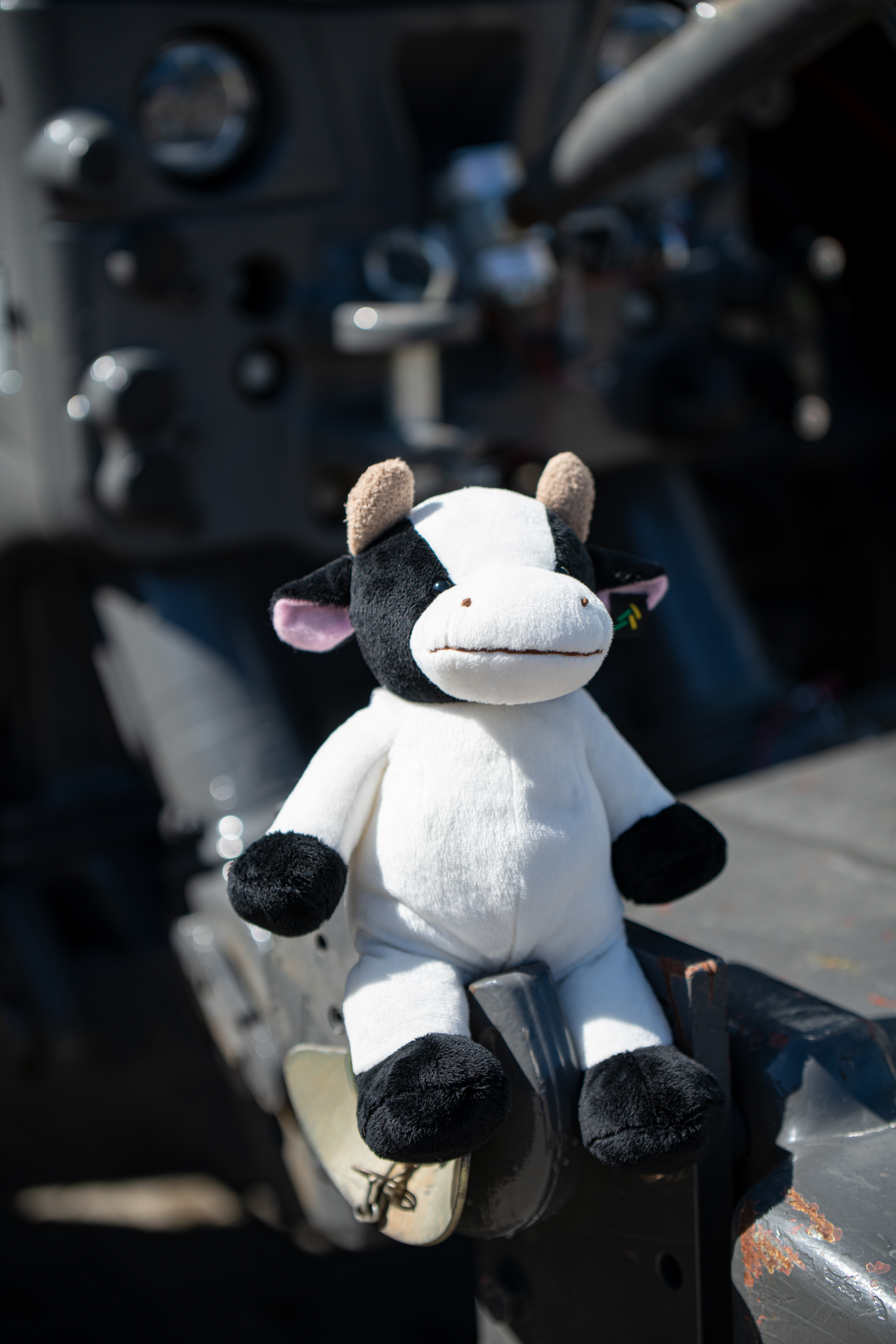 Articles de supporters