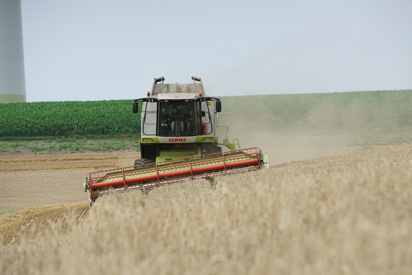 Entreprise agricole