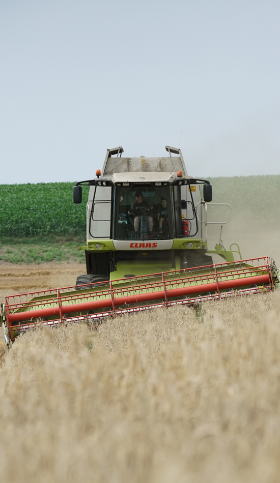 Entreprise agricole