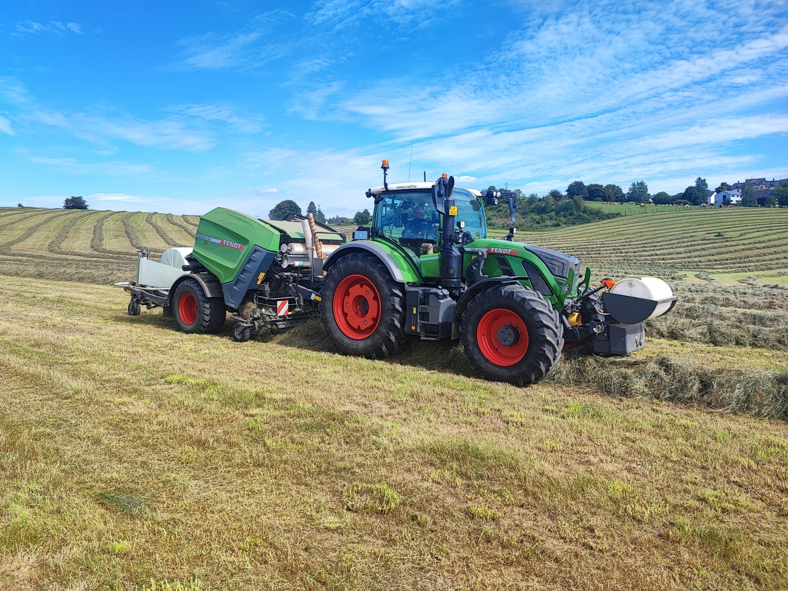Grass harvest 